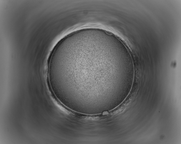 X0000100191519200806061246