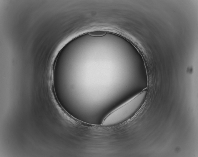X0000100191520200806061246