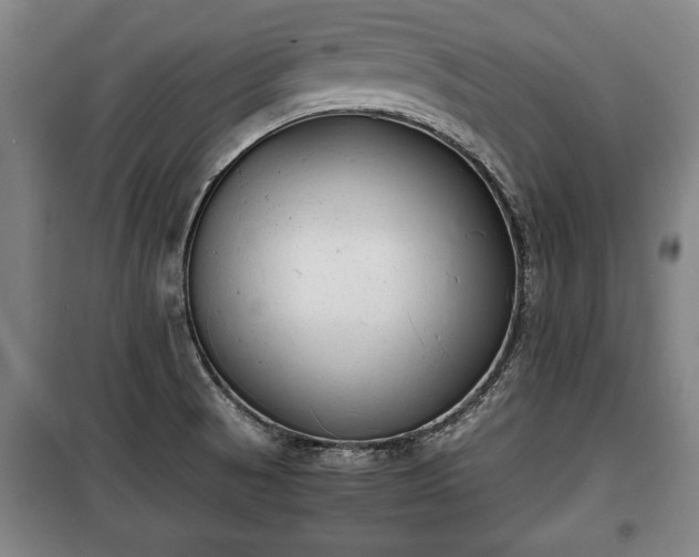 X0000100191521200806061246