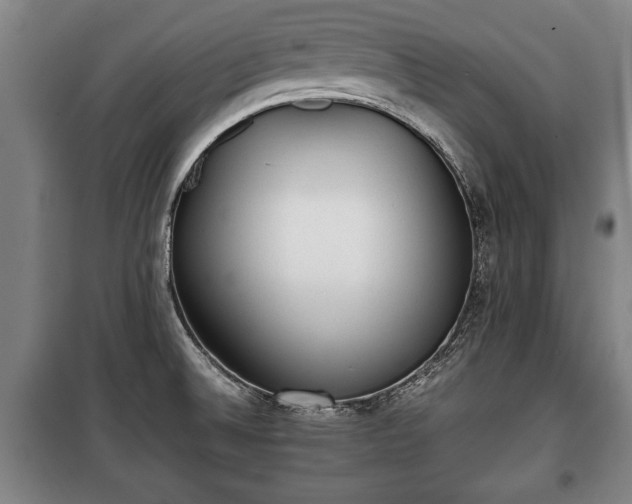 X0000100191524200806061246