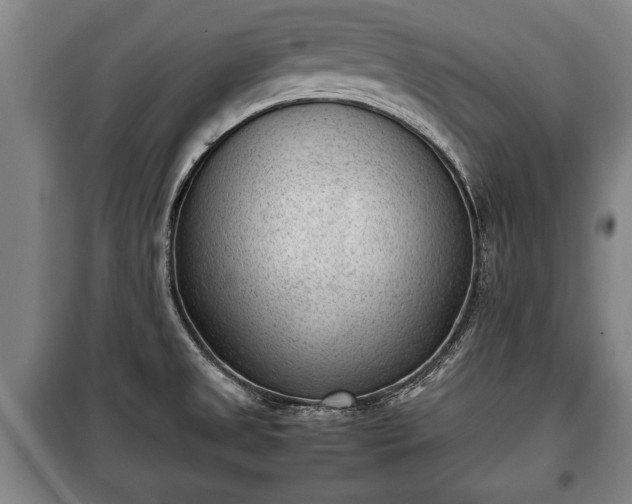 X0000100191525200806061246