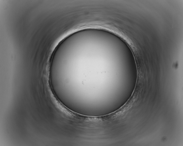 X0000100191526200806061246