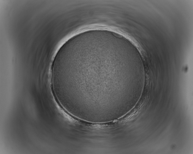 X0000100191527200806061246