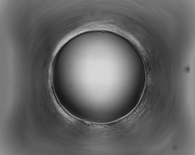 X0000100191528200806061246
