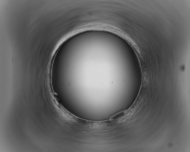 X0000100191530200806061246