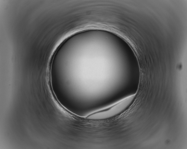X0000100191531200806061247