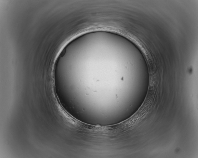 X0000100191532200806061247