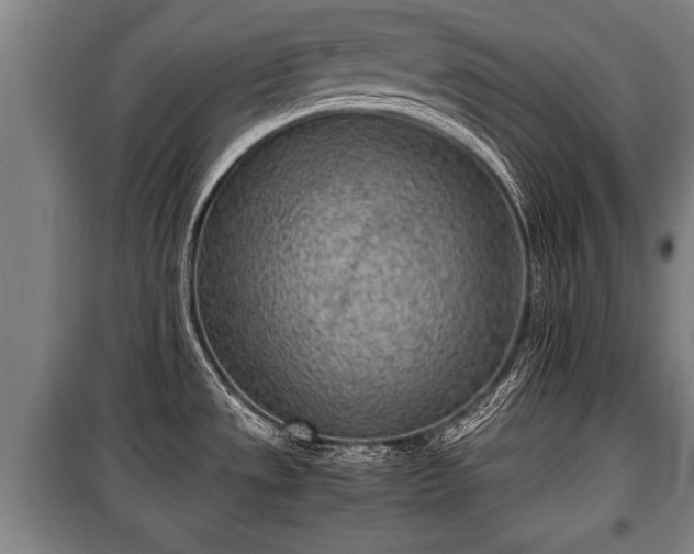 X0000100191533200806061247