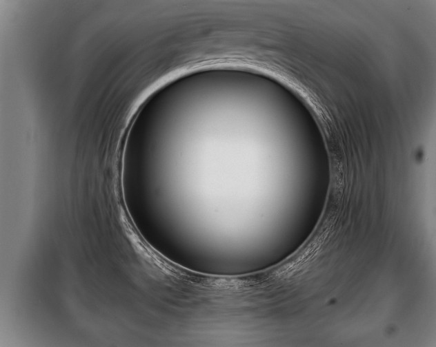 X0000100191534200806061247