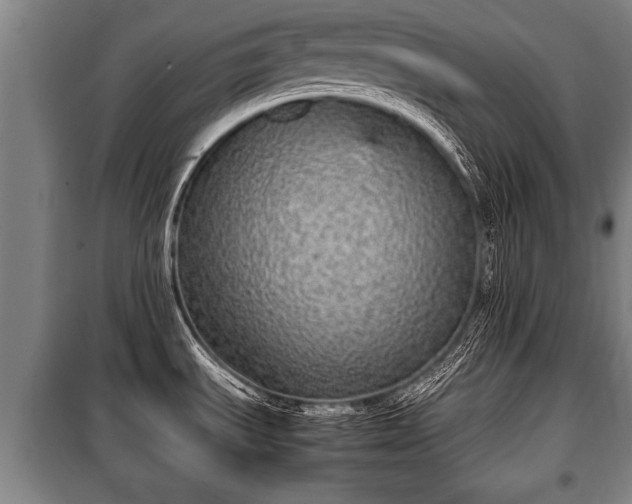 X0000100191535200806061247