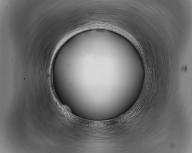 X0000100191536200806061247