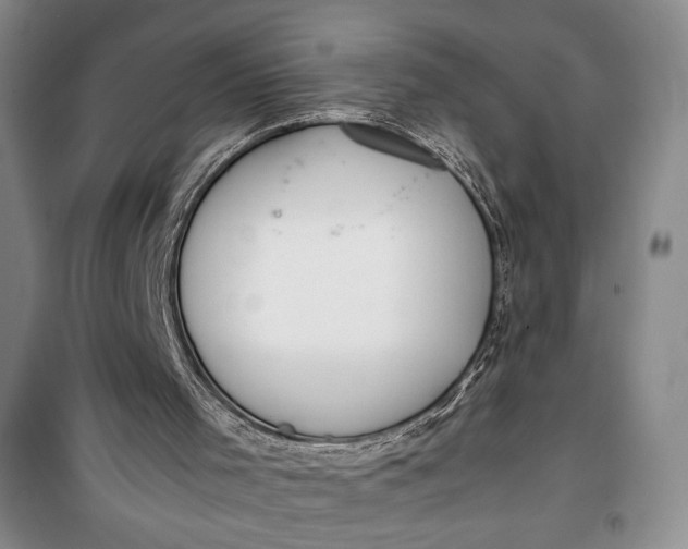 X0000100190001200806131218