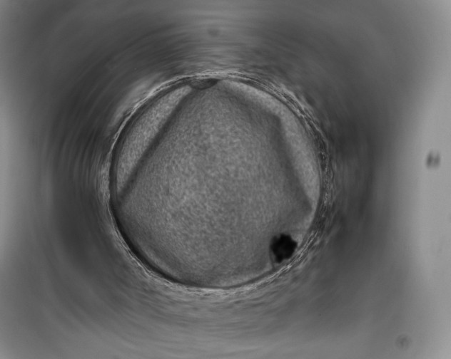 X0000100190002200806131218