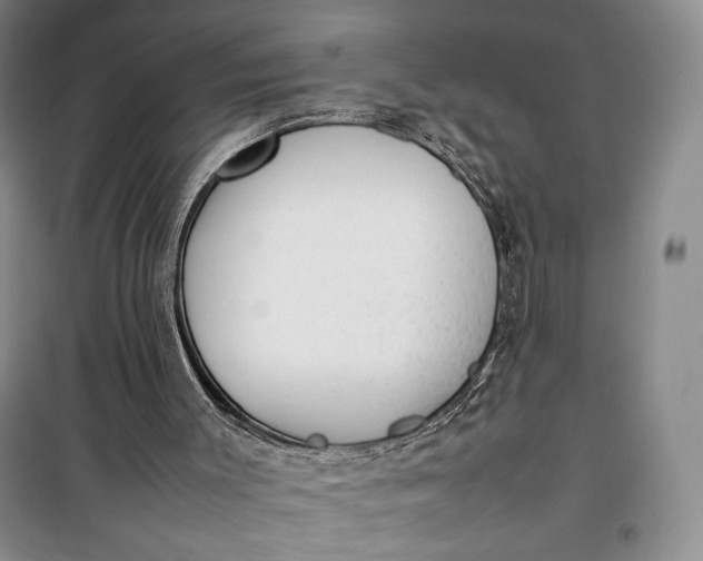 X0000100190003200806131218