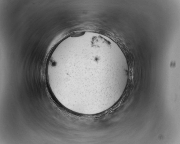 X0000100190004200806131218