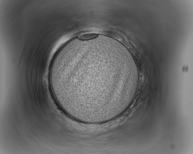 X0000100190006200806131218