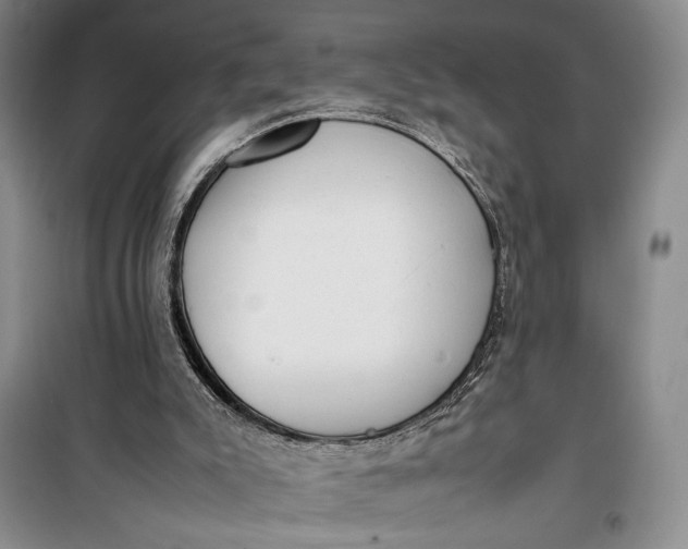 X0000100190007200806131218