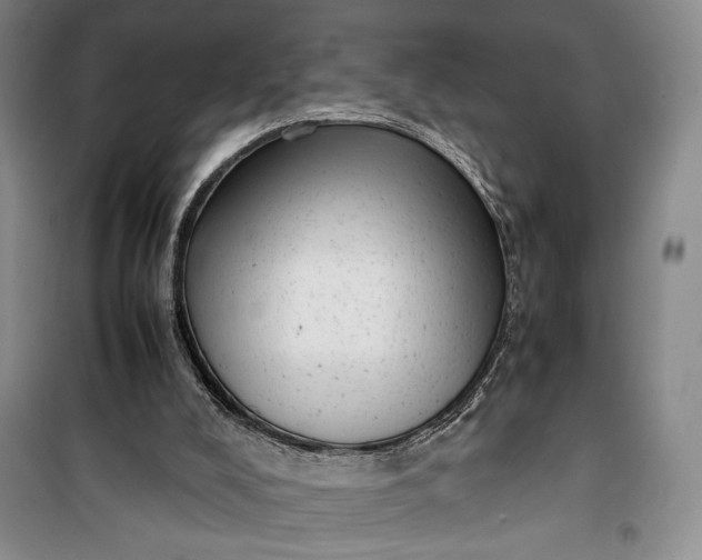 X0000100190008200806131218