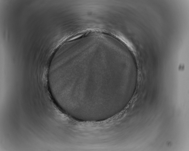 X0000100190009200806131218