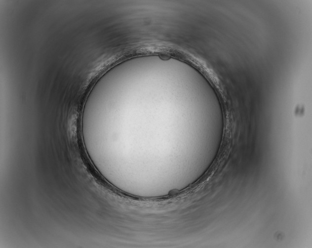 X0000100190010200806131218