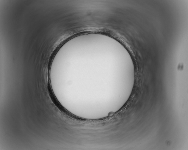 X0000100190011200806131218