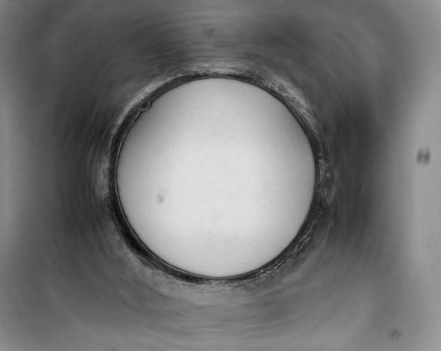 X0000100190012200806131217