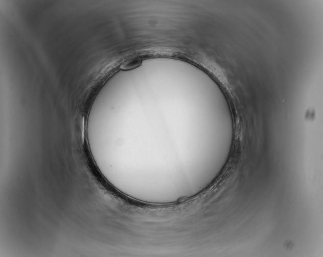 X0000100190013200806131217