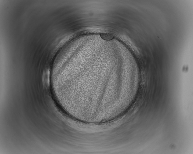 X0000100190014200806131217