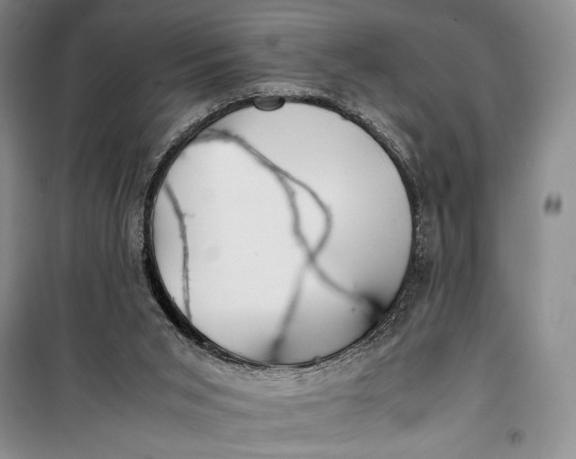 X0000100190015200806131217