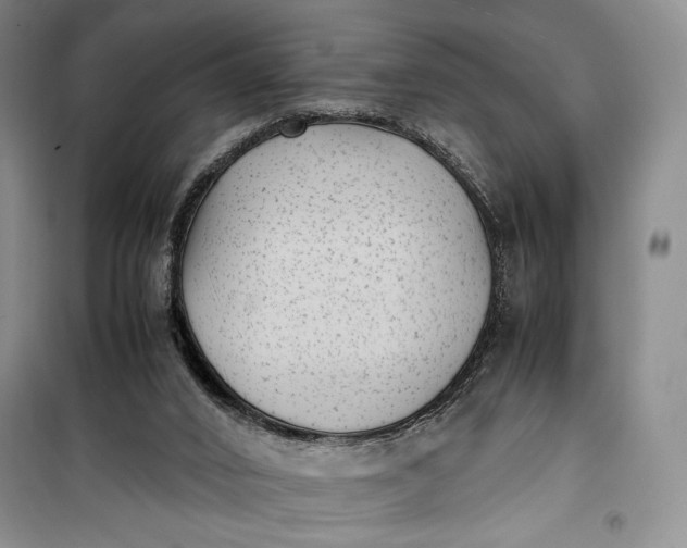 X0000100190016200806131217