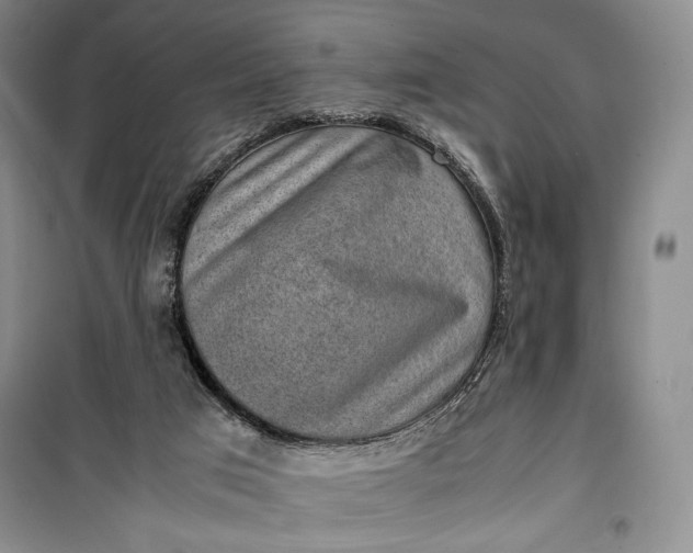 X0000100190017200806131217