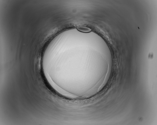 X0000100190019200806131217