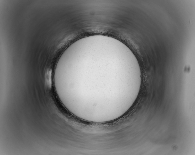 X0000100190020200806131217