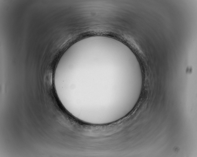 X0000100190021200806131217