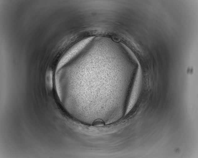 X0000100190022200806131217