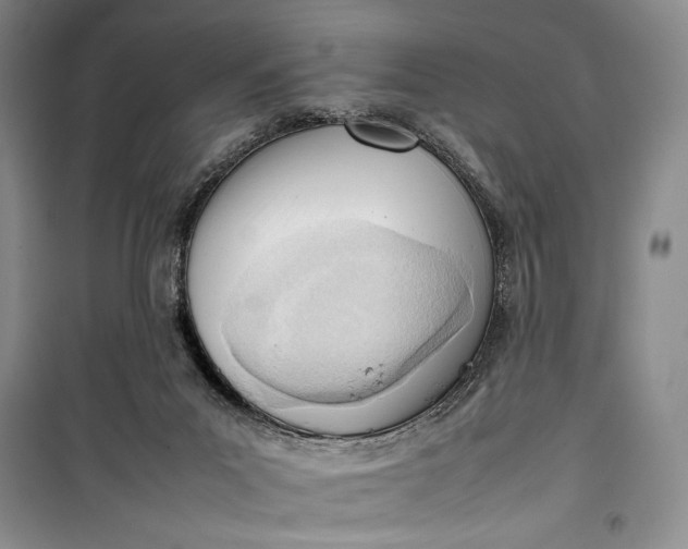 X0000100190023200806131217