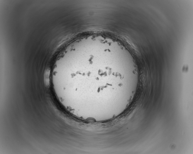 X0000100190024200806131217