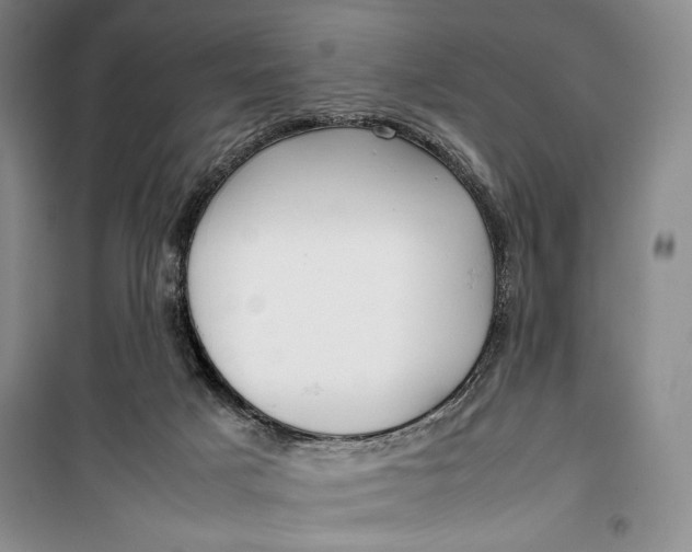 X0000100190025200806131217