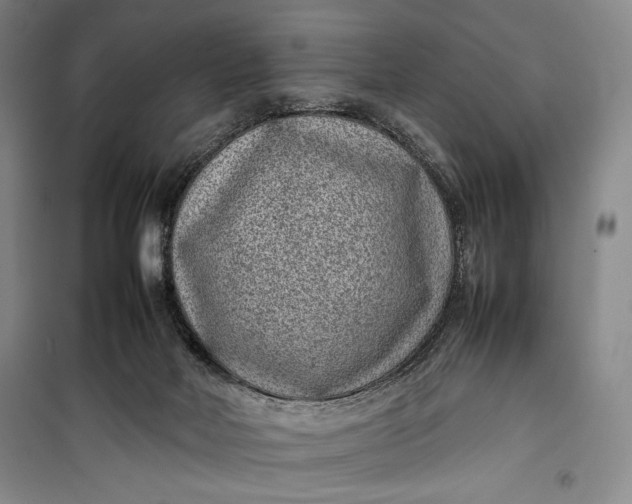 X0000100190026200806131217