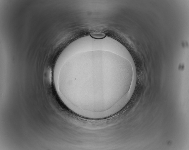 X0000100190027200806131217