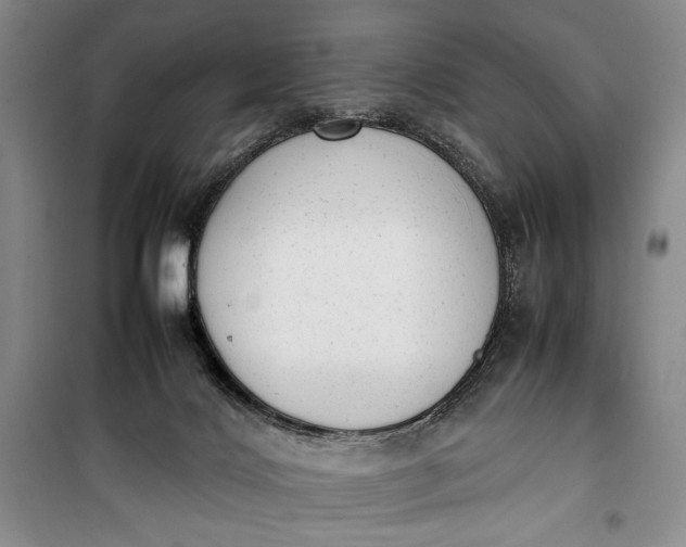 X0000100190028200806131217