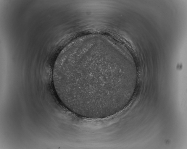 X0000100190029200806131217