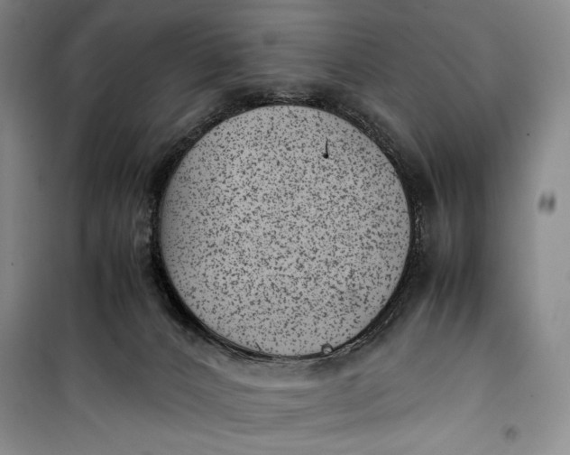 X0000100190032200806131217