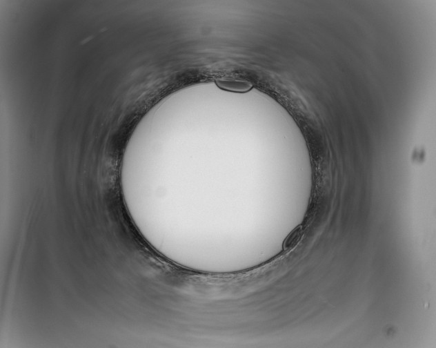 X0000100190033200806131217