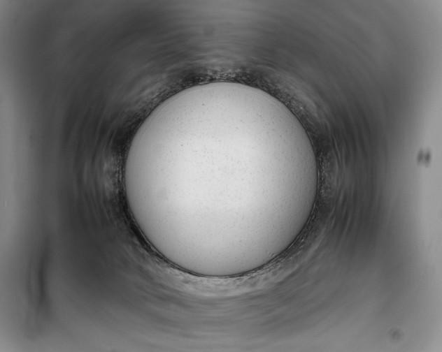 X0000100190034200806131217