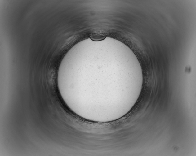 X0000100190036200806131217