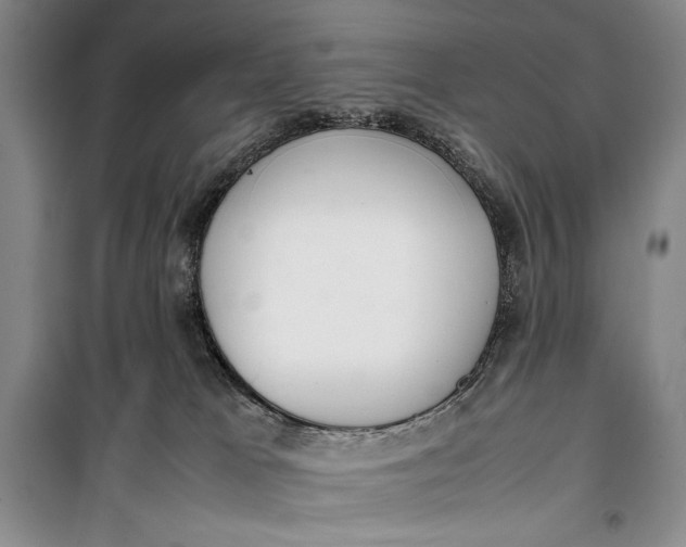 X0000100190037200806131217