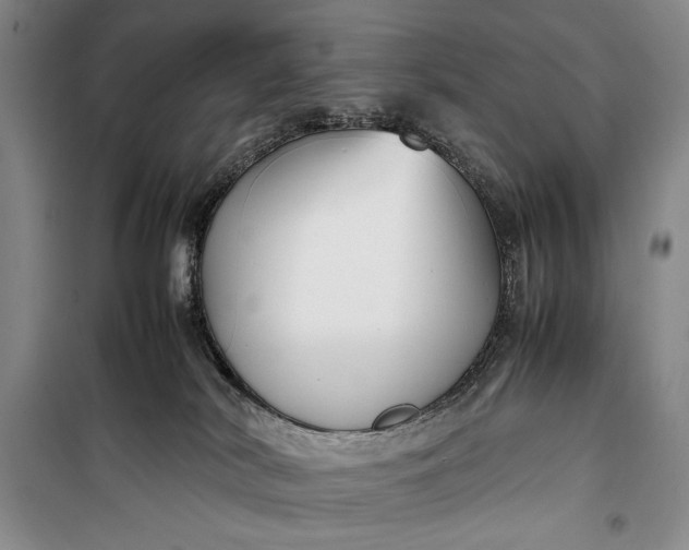 X0000100190038200806131217