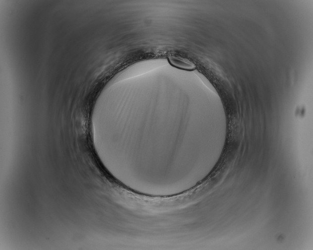 X0000100190039200806131217