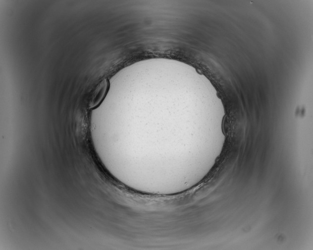 X0000100190040200806131217